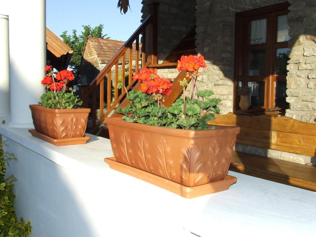 Csato Vendeghaz Hotel Tihany Luaran gambar